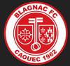 Blagnac FC logo