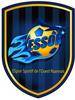 ESP. S. DE L OUEST ROANNAIS