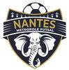 Nantes Metropole Futsal