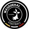 Wasquehal Football