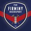 F. C. O. De Firminy-insersport