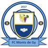 F.c. Monts De Gy