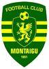 F.c. Montaigu 85